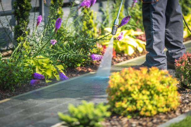 Reliable Whitney Point, NY Pressure Washing Services Solutions